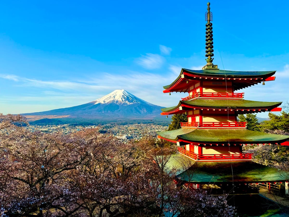 樱花季最美富士山