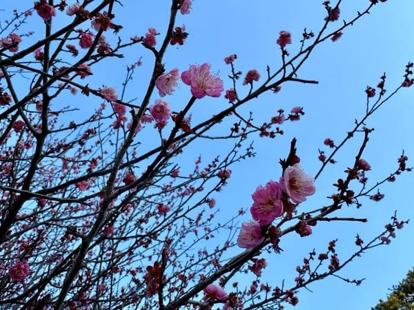 小田原经典一日游